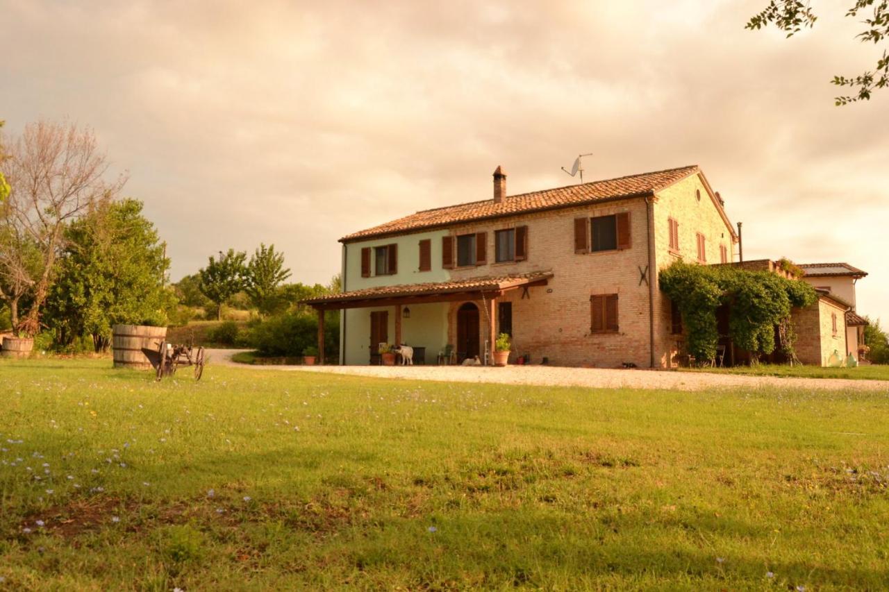 B&B Le Tamerici San Giorgio di Pesaro Buitenkant foto