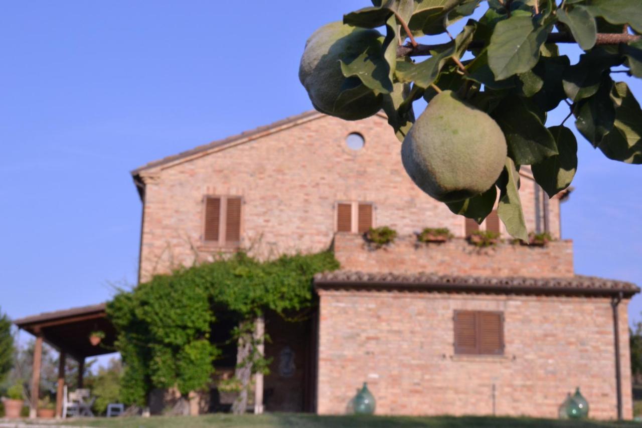 B&B Le Tamerici San Giorgio di Pesaro Buitenkant foto