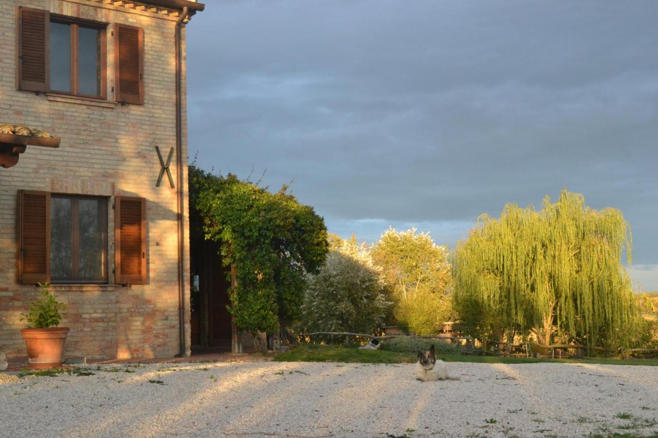 B&B Le Tamerici San Giorgio di Pesaro Buitenkant foto