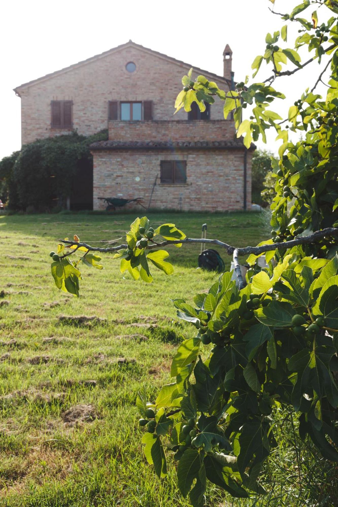 B&B Le Tamerici San Giorgio di Pesaro Buitenkant foto