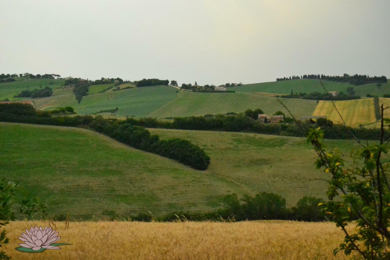 B&B Le Tamerici San Giorgio di Pesaro Buitenkant foto