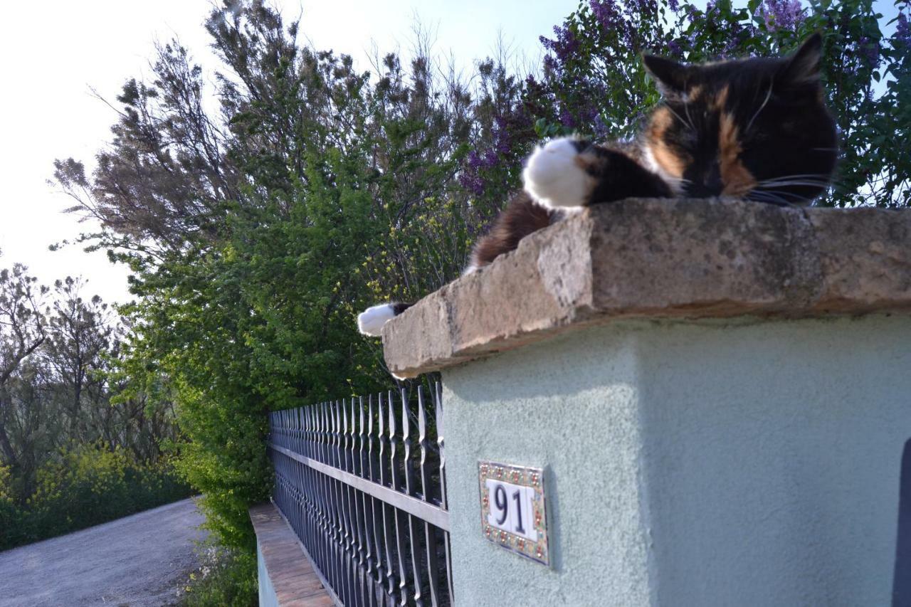 B&B Le Tamerici San Giorgio di Pesaro Buitenkant foto