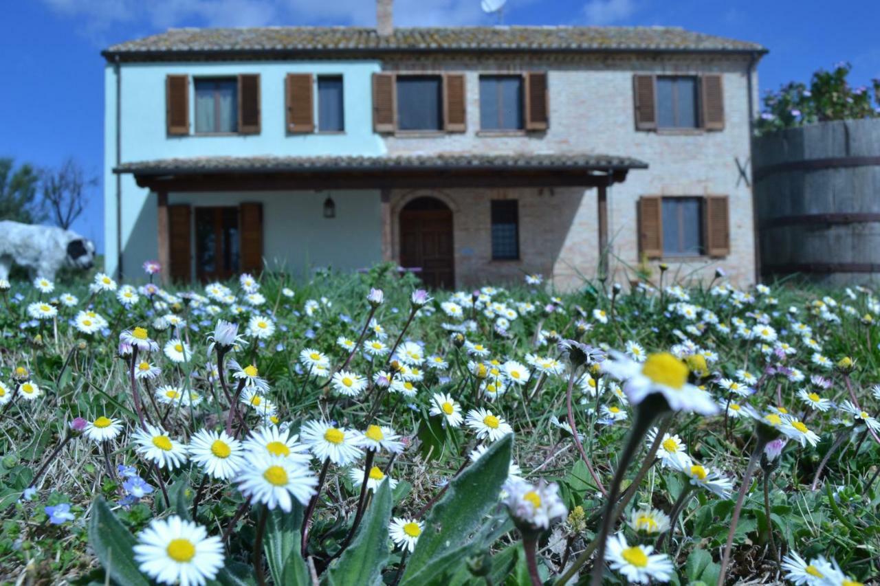 B&B Le Tamerici San Giorgio di Pesaro Buitenkant foto