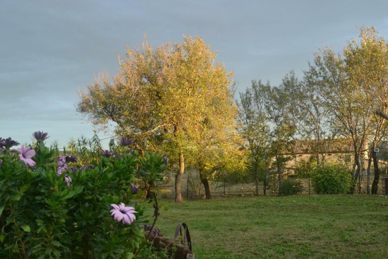 B&B Le Tamerici San Giorgio di Pesaro Buitenkant foto