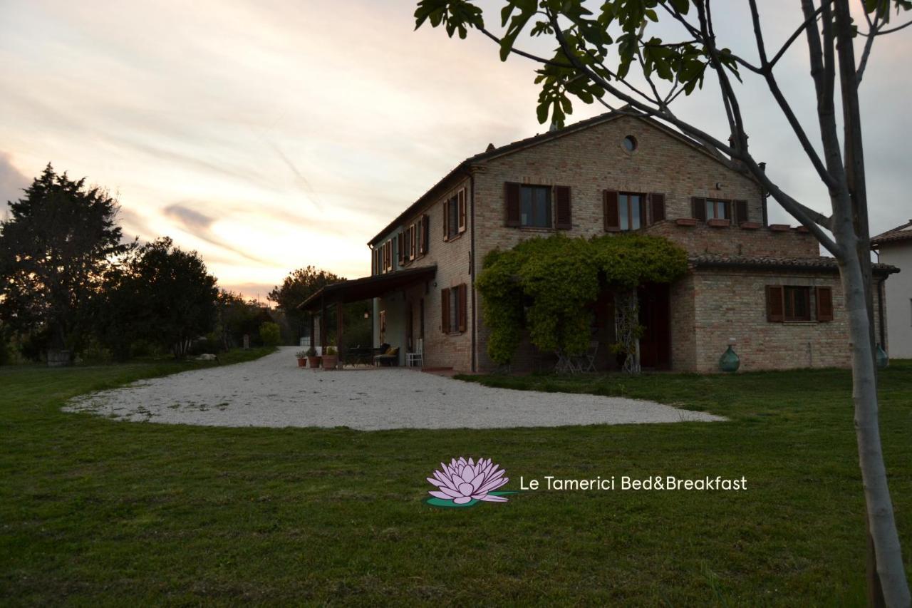 B&B Le Tamerici San Giorgio di Pesaro Buitenkant foto